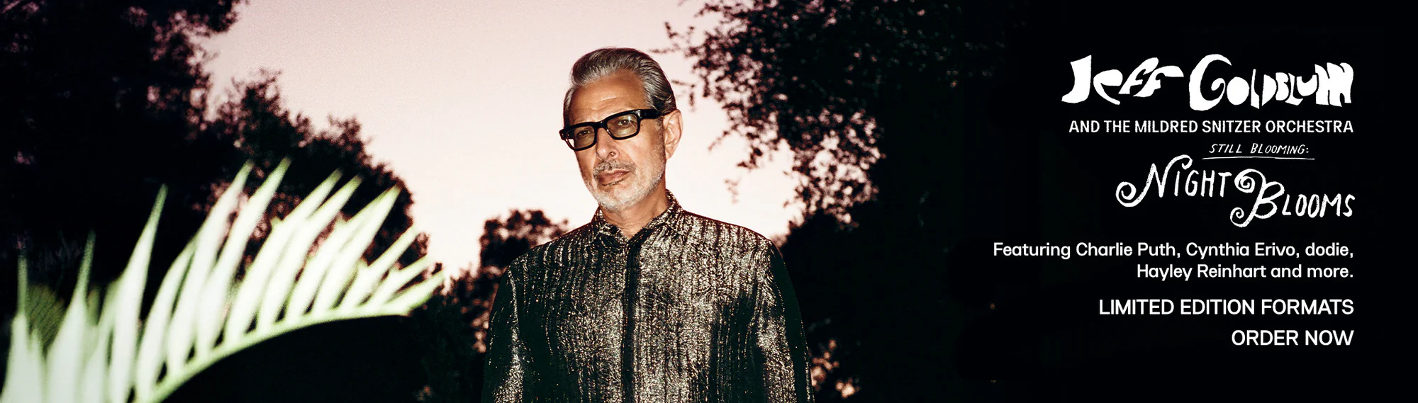 The Official World of Jeff Goldblum